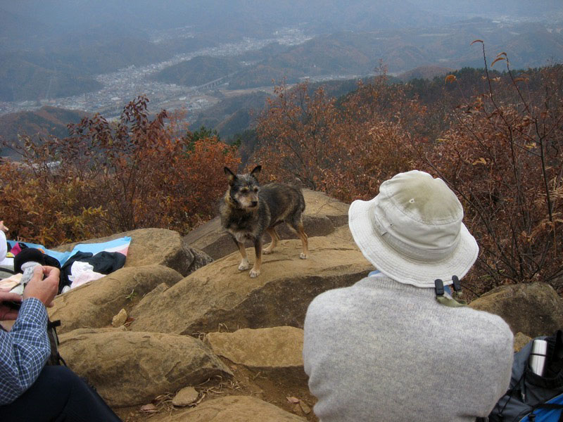 高川山